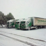 Transmape