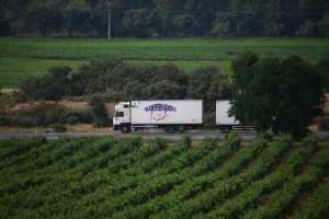 fomento carretera