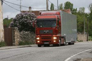 dgt cinturón seguridad