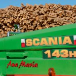 scania 143H decorado