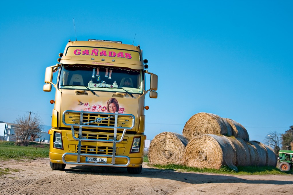 Volvo FH Cañadas