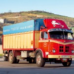 pegaso 1065 panín