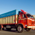 pegaso 1065 panín