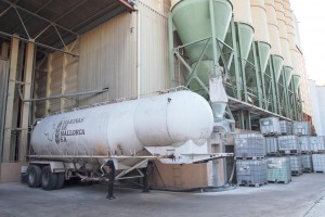 Piema