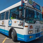 Bierzo Bus, Pegaso, rogelio
