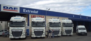 DAF, Transnoriega, extradaf