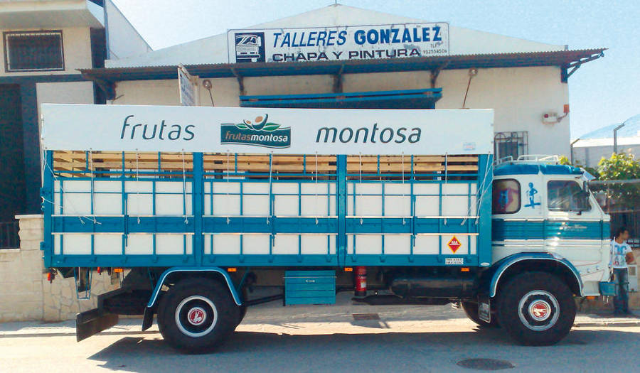 Frutas Montosa
