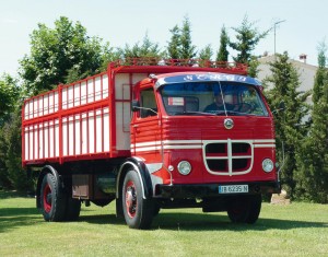 Pegaso Sergio Vergara