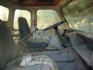 Pegaso Sergio Vergara