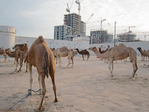 Qatar