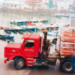 Scania T113