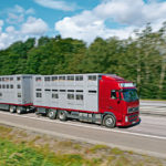 Megatrucks