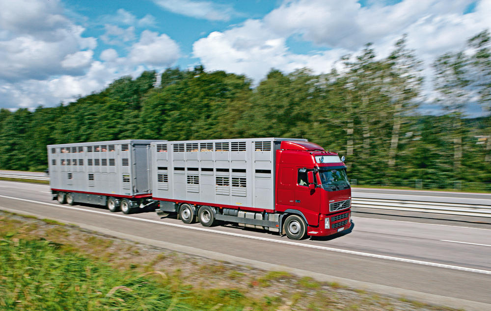 Megatrucks