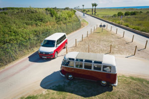 Volkswagen T1 y T6 