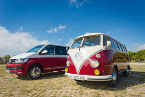 Volkswagen T1 y T6 