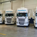 Transmarfil