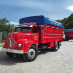 Camiones clásicos en La Alpujarra