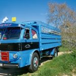 Pegaso 1061