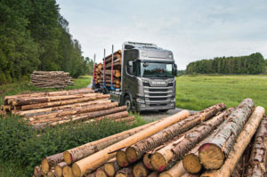 Scania R y S