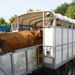 Ferias ganado Galicia