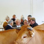 Ferias ganado Galicia