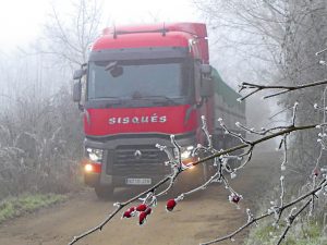Sisqués Renault T