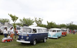 FurgoVolkswagen