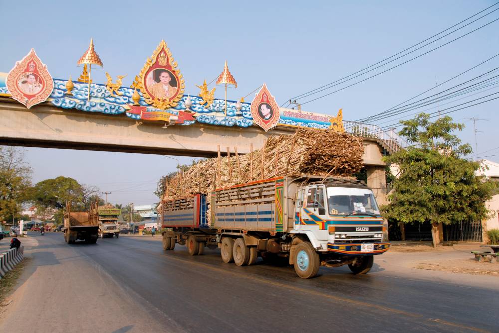 Tailandia caña azúcar
