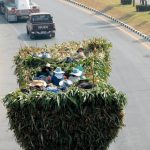 Tailandia caña azúcar