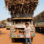 Tailandia caña azúcar