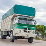 Pegaso 1095 Europa