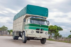Pegaso 1095 Europa