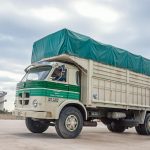 Pegaso 1095 Europa
