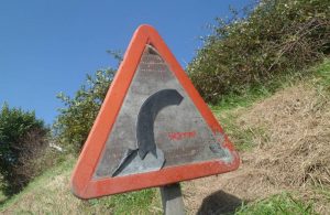 Informe conservación carretera
