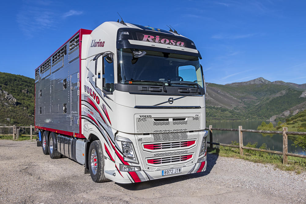 Volvo Riosa Asturias