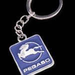 Camiones Pegaso Salvat