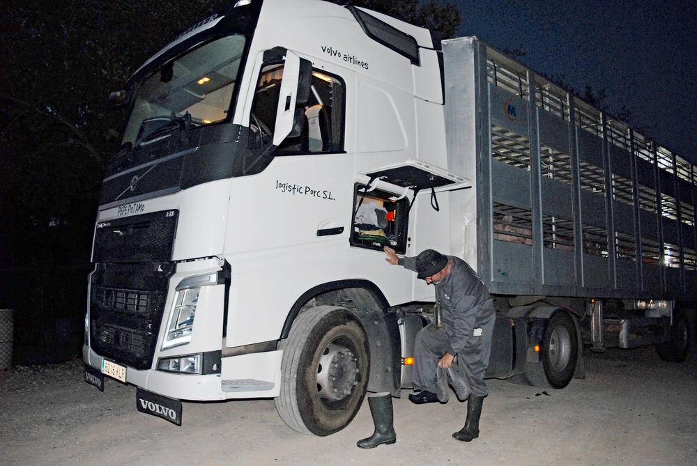 Logistic Porc