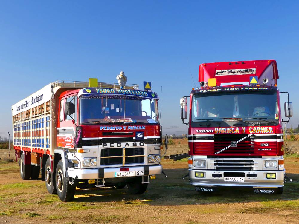 Pegaso 260 y Volvo F12 Montejano