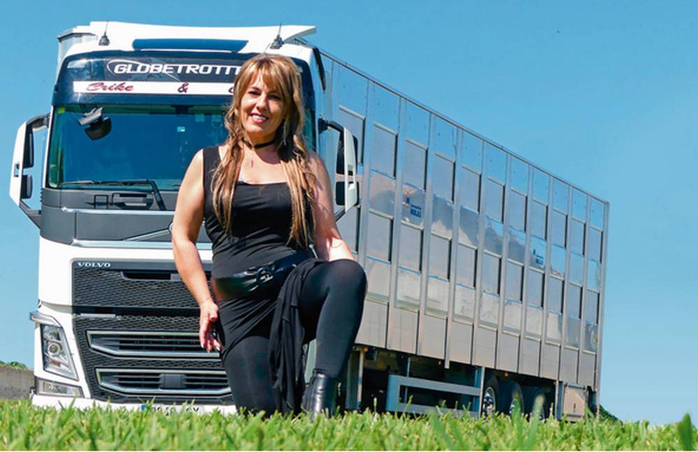 Camioneras Solo Camión