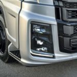 Ford Trucks F-Max Blackline