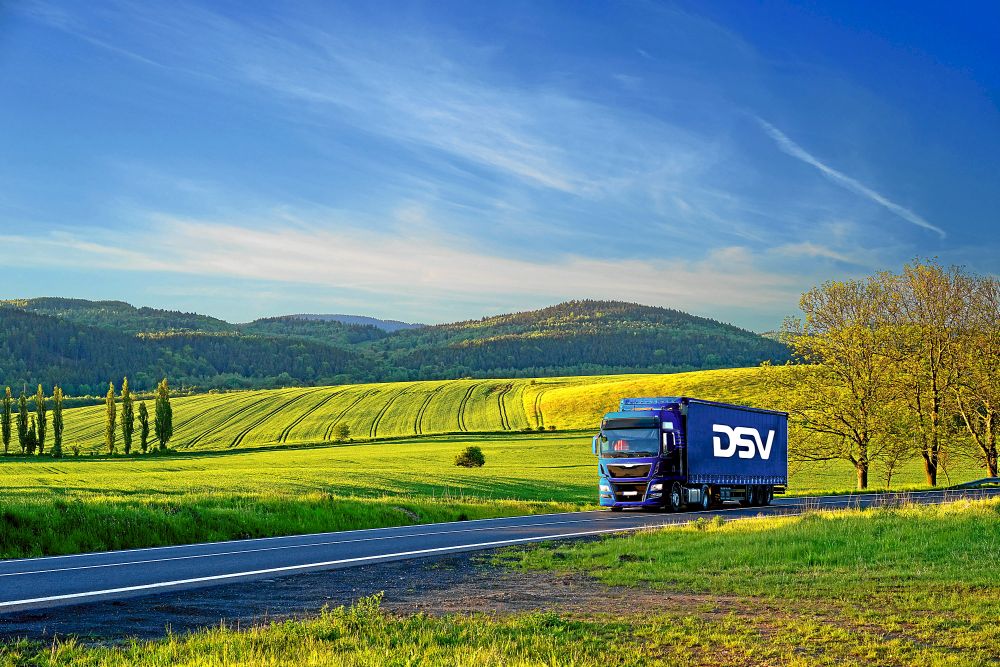 dsv