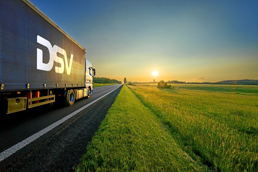 dsv