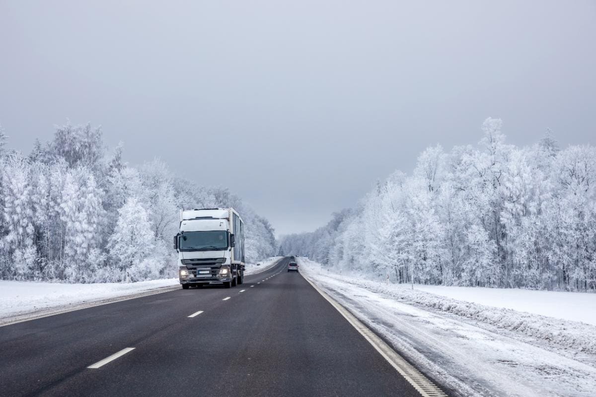 camión nieve
