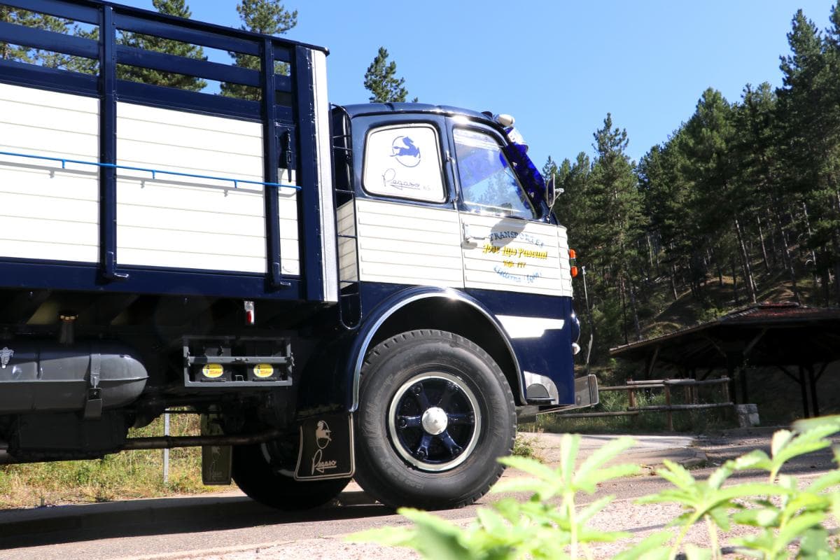 pegaso 1060