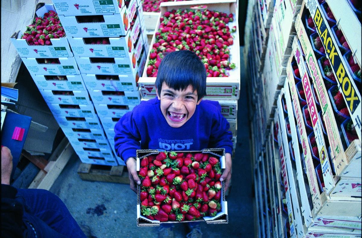 niños en camión