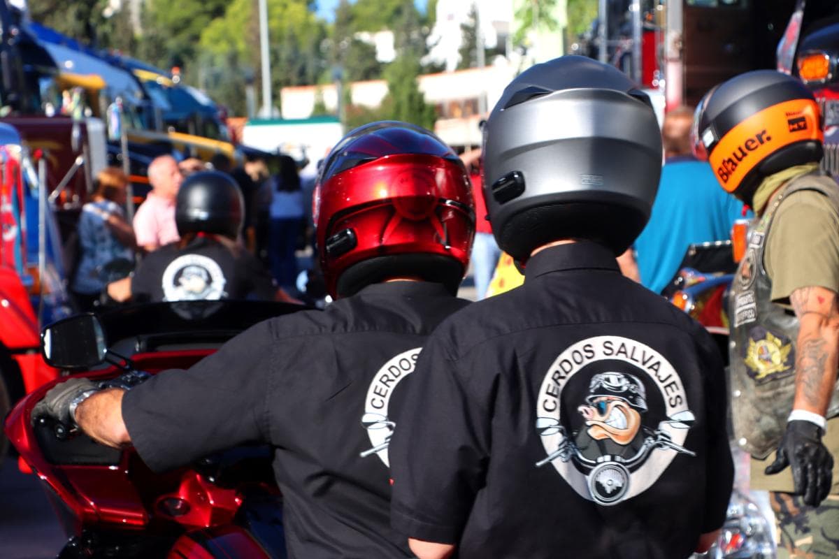 Motociclistas con cascos y chaquetas "Cerdos Salvajes" se reúnen en un evento al aire libre con motocicletas, gente y una emoción vibrante que podría rivalizar con un borrador automático.
