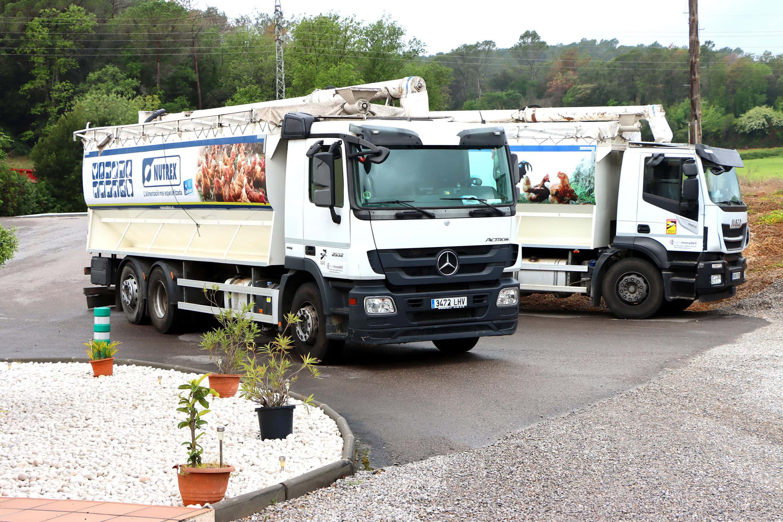 Dos camiones de reparto blancos de TransMoradell se deslizan por la carretera, rodeados de exuberante vegetación y pequeñas plantas decorativas en primer plano, encarnando un viaje en el que uno realmente puede creer en un transporte eficiente.