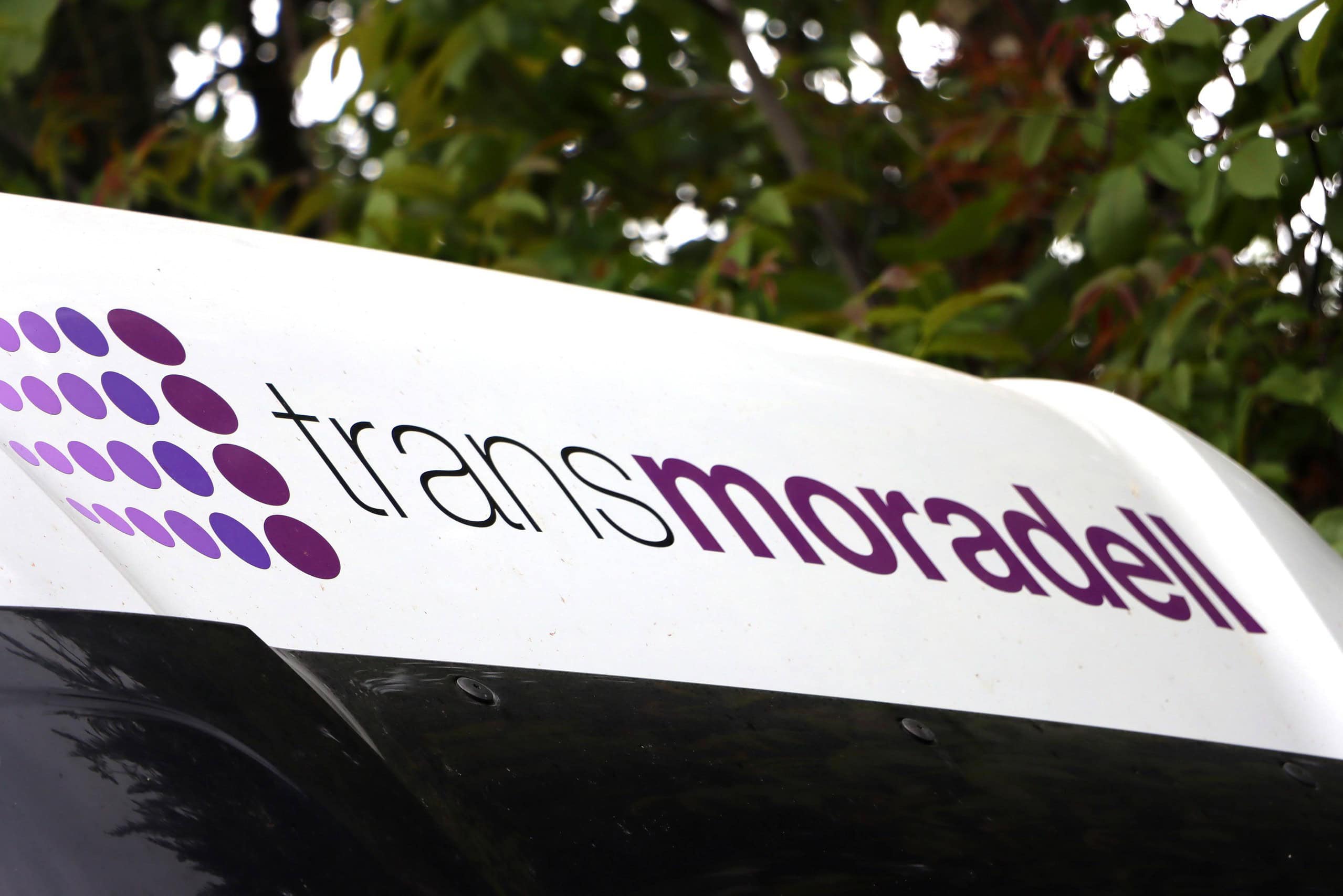 Primer plano del logotipo del autobús TransMoradell, símbolo de innovación y confianza, sobre un fondo de frondosos árboles.