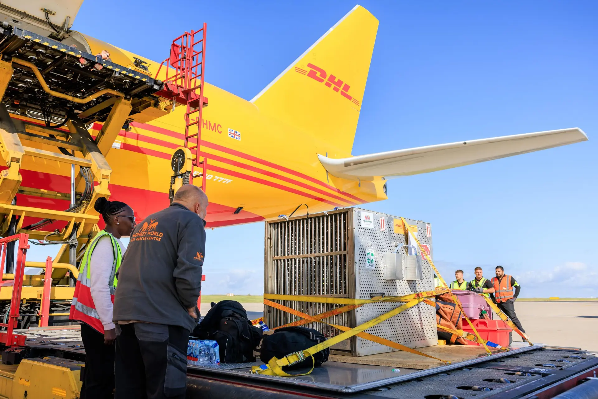 Bajo un cielo azul claro, los trabajadores cargan eficientemente una gran caja en el avión amarillo de DHL en la pista, asegurando entregas rápidas para 2024.