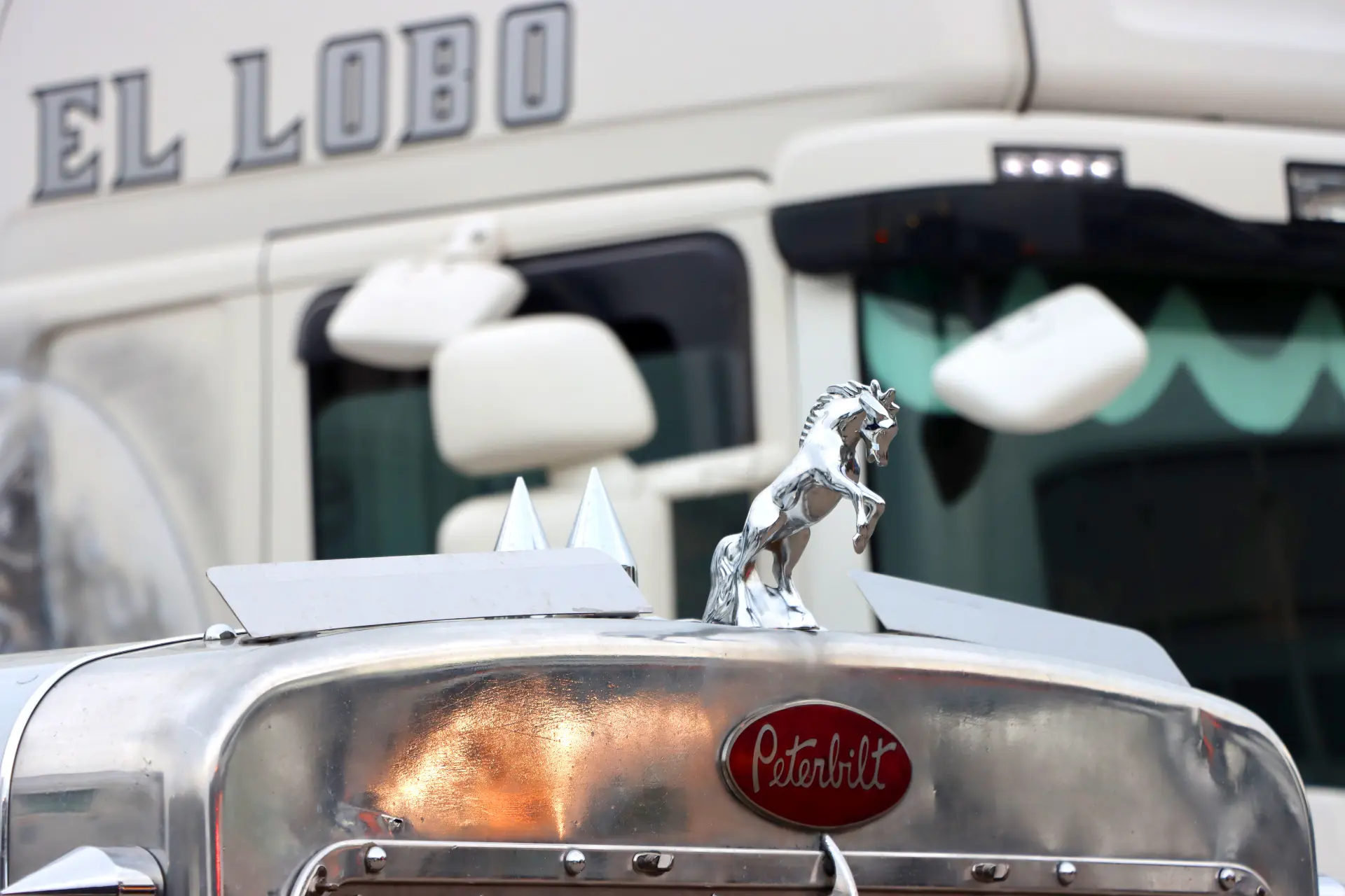 Primer plano de un camión Peterbilt con un adorno cromado en el capó de un caballo y "EL LOBO" en la cabina, perfecto para los fanáticos de los camiones americanos tuneados en eventos como carreras camiones España.